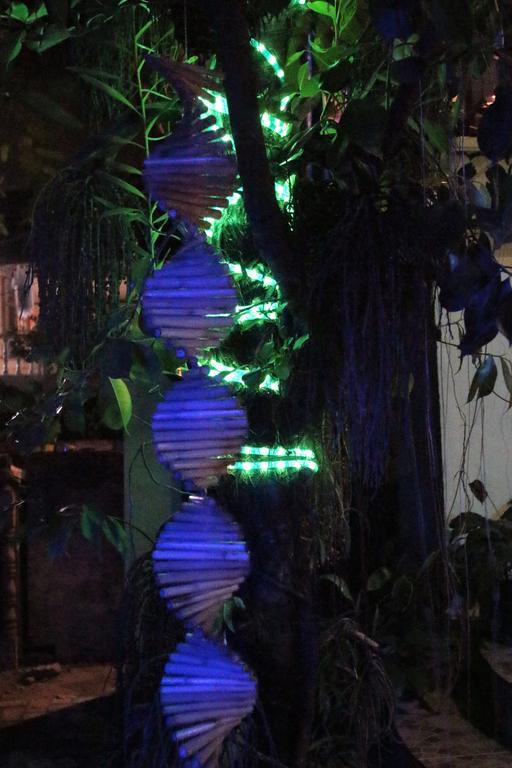 Blue Bamboo Hotel Balabag (Boracay) Exterior foto